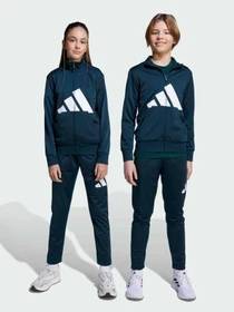 Костюми Adidas модель JV9960 Фото