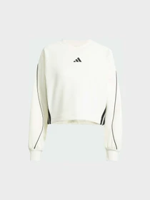 Худи и свитшоты Adidas модель JW0506 Фото