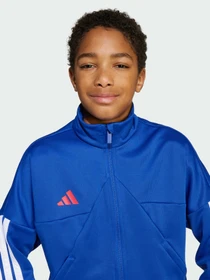 Худі та світшоти Adidas Tiro модель JW5085 Фото