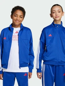 Худи и свитшоты Adidas Tiro модель JW5085 Фото