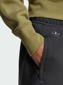Брюки Adidas Adicolor модель JW5445 Фото