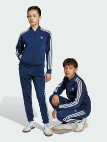 Штани Adidas Adicolor модель JV8567 Фото