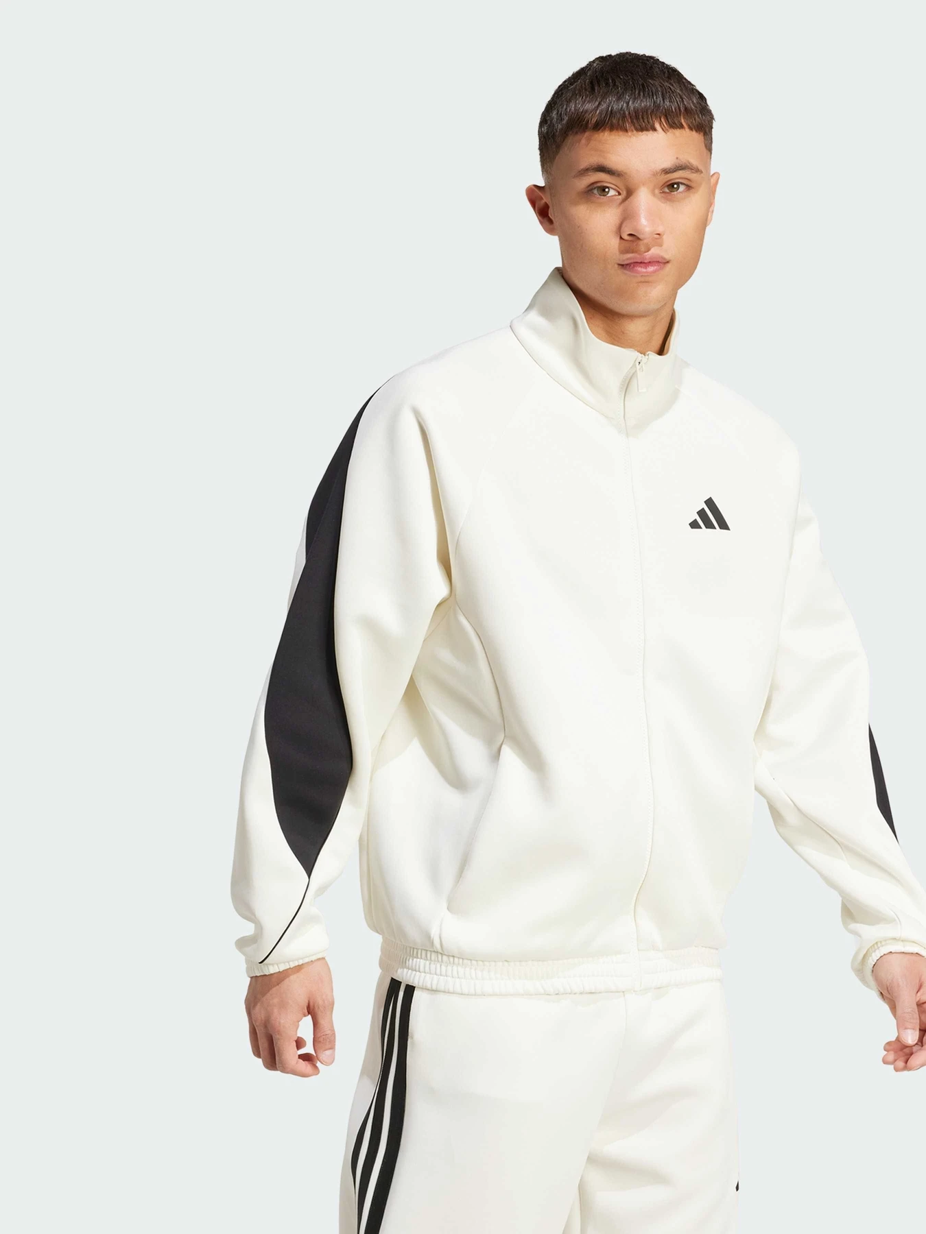 Худи и свитшоты Adidas модель JX5618 Худи и свитшоты Adidas модель JX5618 Фото