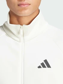 Худи и свитшоты Adidas модель JX5618 Фото
