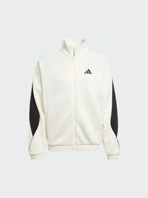 Худи и свитшоты Adidas модель JX5618 Фото