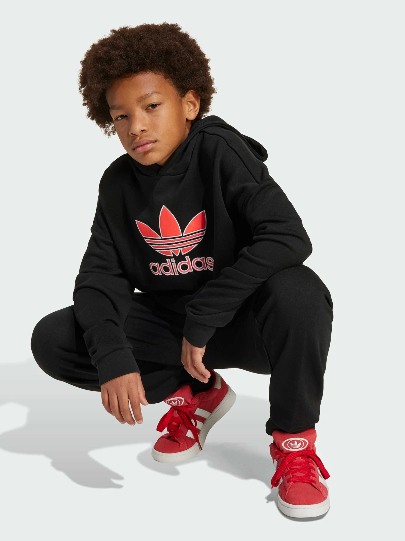 Худи и свитшоты Adidas Adicolor модель JV8637 Худи и свитшоты Adidas Adicolor модель JV8637 Фото