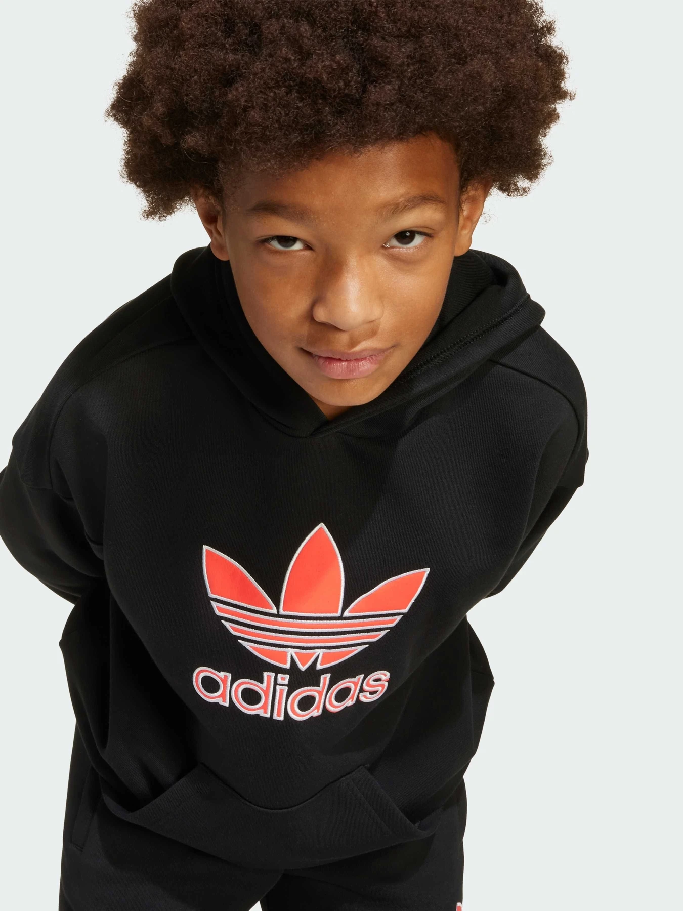 Худи и свитшоты Adidas Adicolor модель JV8637 Худи и свитшоты Adidas Adicolor модель JV8637 Фото