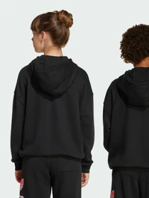 Худи и свитшоты Adidas Adicolor модель JV8637 Фото