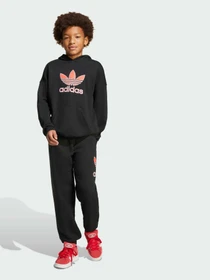 Худи и свитшоты Adidas Adicolor модель JV8637 Фото