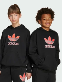 Худи и свитшоты Adidas Adicolor модель JV8637 Фото