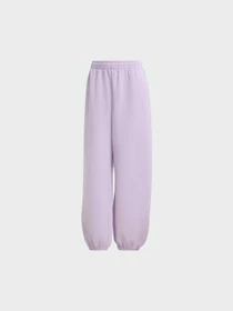 Брюки Adidas модель JW5075 Фото