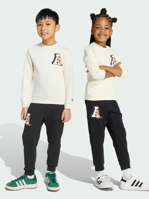 Костюмы Adidas Graphics модель JX3018 Фото