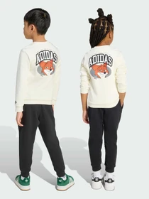 Костюми Adidas Graphics модель JX3018 Фото