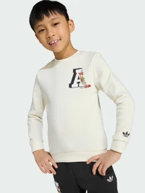 Костюми Adidas Graphics модель JX3018 Фото