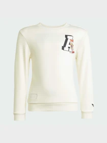 Костюми Adidas Graphics модель JX3018 Фото