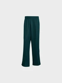 Штани Adidas Adicolor модель JY1420 Фото