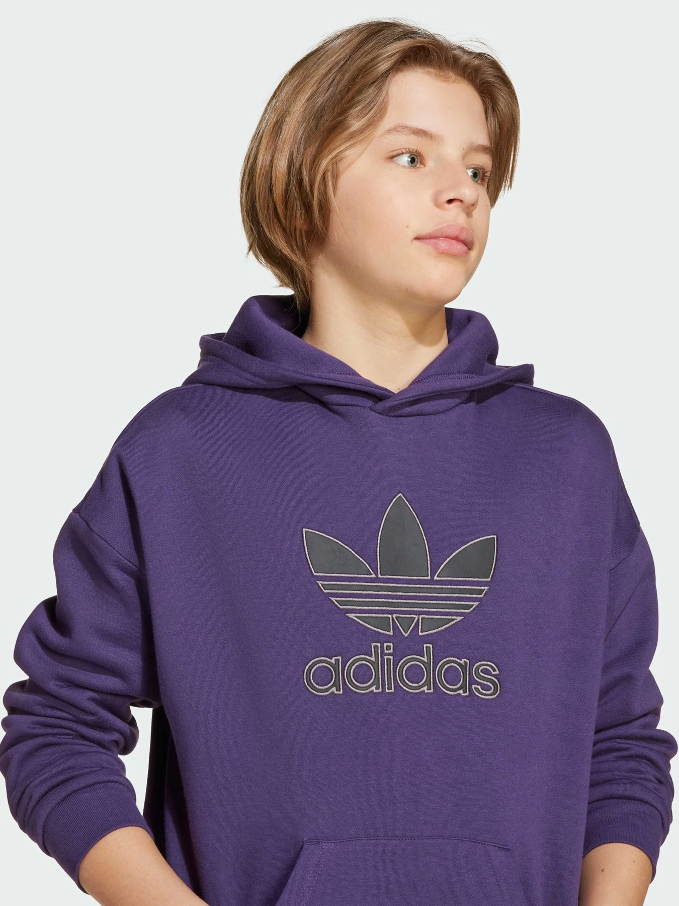 Худи и свитшоты Adidas Adicolor модель JV8653 Фото