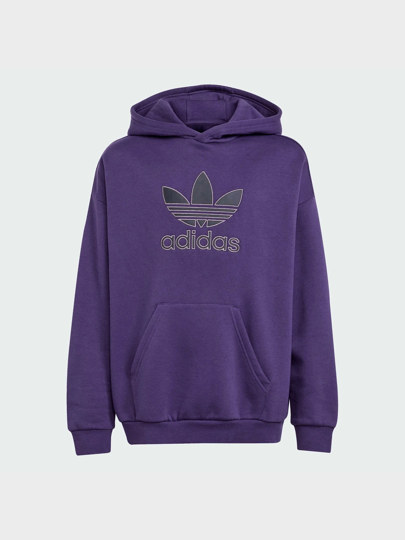 Худи и свитшоты Adidas Adicolor модель JV8653 Фото