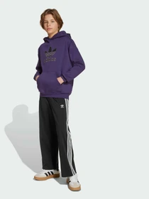 Худи и свитшоты Adidas Adicolor модель JV8653 Фото
