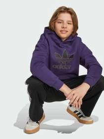 Худи и свитшоты Adidas Adicolor модель JV8653 Фото