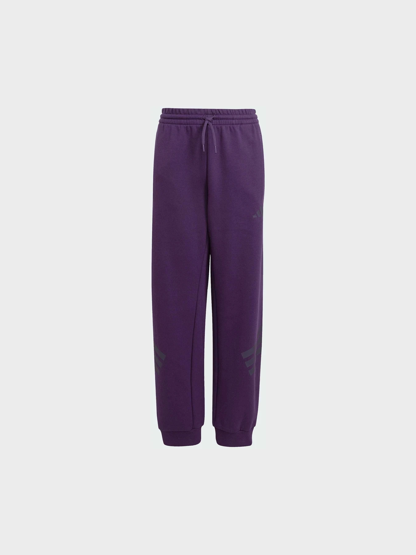 Штани Adidas модель JW7524 Штани Adidas модель JW7524 Фото