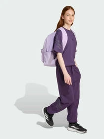 Штани Adidas модель JW7524 Фото