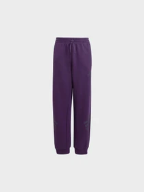 Штани Adidas модель JW7524 Фото