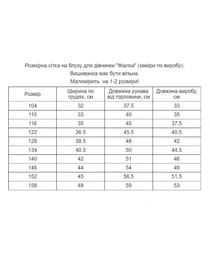 Вышиванки MEREZHKA модель rd378 Фото