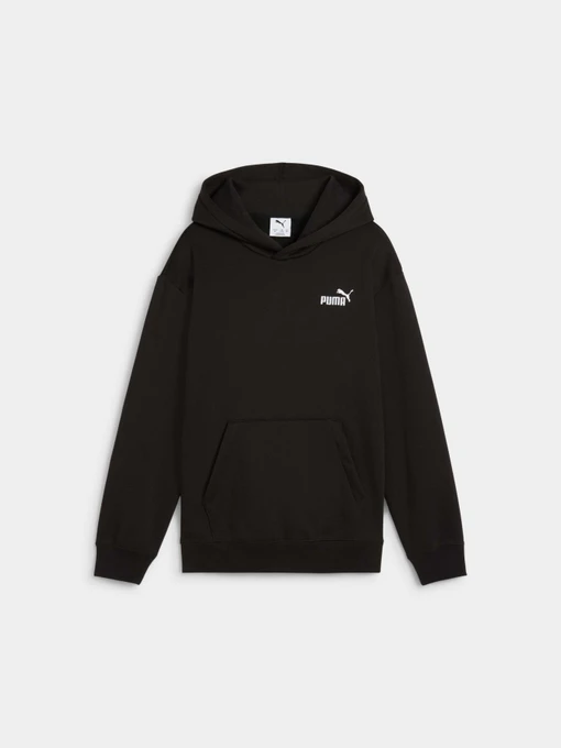 Худи и свитшоты PUMA Ess Small Logo Hoodie модель 684921 Фото
