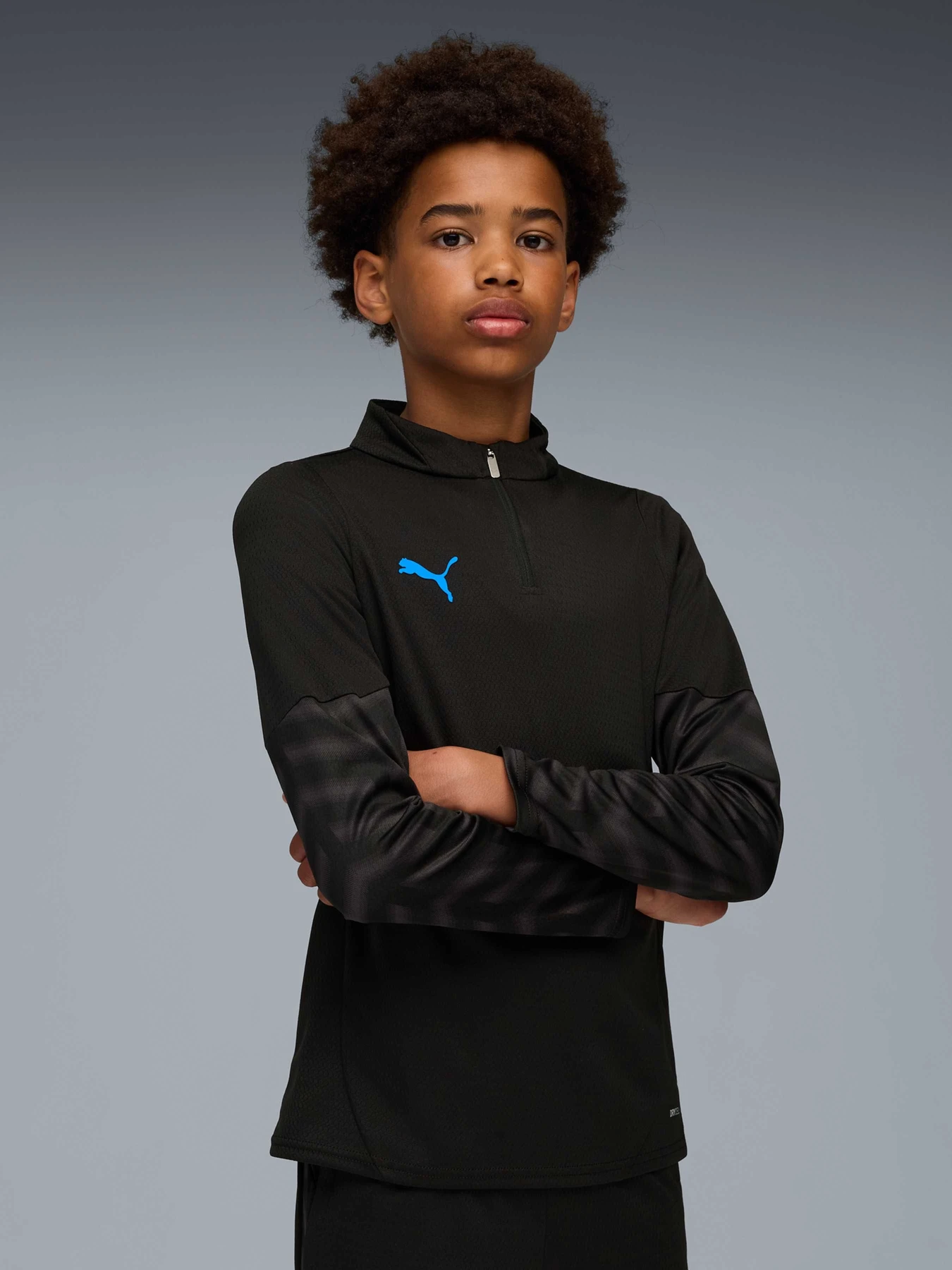 Худи и свитшоты PUMA Individualcup 1/4 Zip-top Jr модель 660247 Худи и свитшоты PUMA Individualcup 1/4 Zip-top Jr модель 660247 Фото