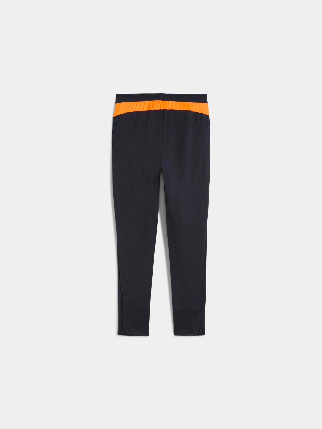 Брюки PUMA Individualcup Training Pants модель 660250 Брюки PUMA Individualcup Training Pants модель 660250 Фото