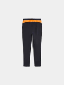 Брюки PUMA Individualcup Training Pants модель 660250 Фото
