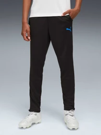 Брюки PUMA Individualcup Trg Pants Jr модель 660251 Фото