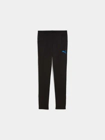 Брюки PUMA Individualcup Trg Pants Jr модель 660251 Фото
