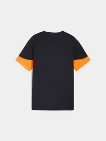 Футболки и поло PUMA Individualcup Jersey Jr модель 660245 Фото
