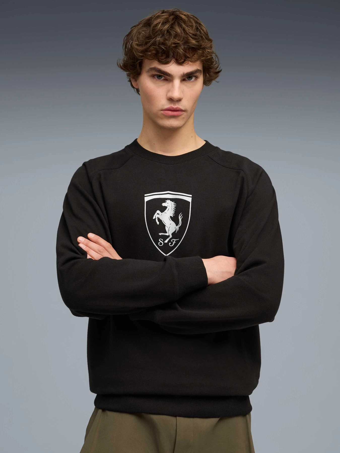 Худі та світшоти PUMA Ferrari Tonal Shield Cn модель 632788 Худі та світшоти PUMA Ferrari Tonal Shield Cn модель 632788 Фото