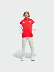 Худі та світшоти Adidas ZNE модель JM9409 Фото