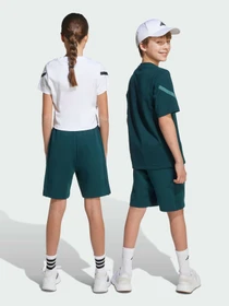 Шорти Adidas ZNE модель JW2413 Фото