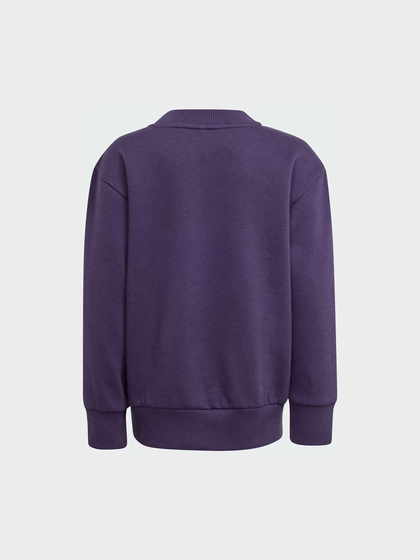 Костюмы Adidas модель JW2439 Костюмы Adidas модель JW2439 Фото