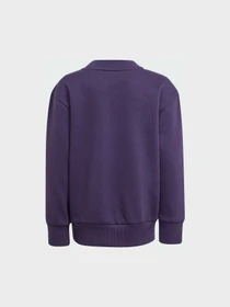 Костюмы Adidas модель JW2439 Фото
