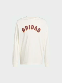 Худи и свитшоты Adidas Graphics модель JY2999 Фото