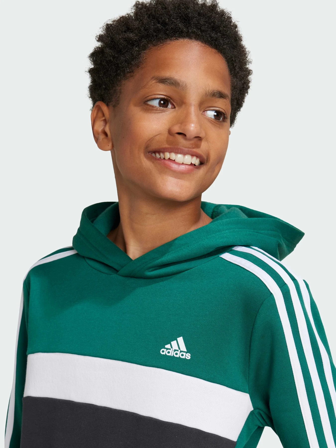 Худи и свитшоты Adidas 3 Stripes модель IY1786 Худи и свитшоты Adidas 3 Stripes модель IY1786 Фото