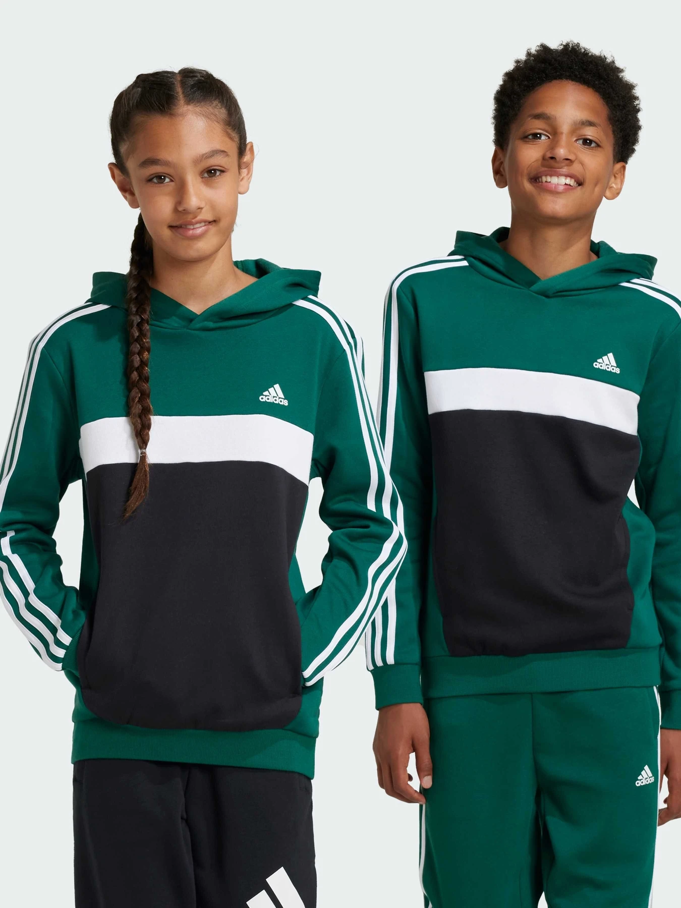 Худи и свитшоты Adidas 3 Stripes модель IY1786 Худи и свитшоты Adidas 3 Stripes модель IY1786 Фото