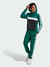 Худи и свитшоты Adidas 3 Stripes модель IY1786 Фото