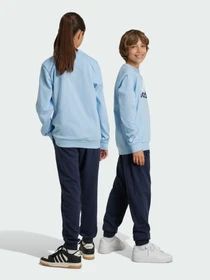 Костюмы Adidas модель IY5429 Фото