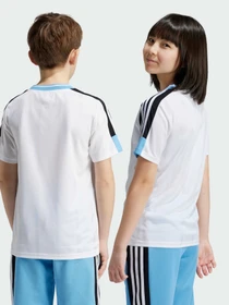 Футболки и поло Adidas Tiro модель IY0143 Фото