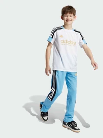 Футболки и поло Adidas Tiro модель IY0143 Фото