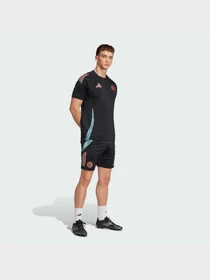 Шорты Adidas модель JI5276 Фото