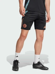 Шорти Adidas модель JI5276 Фото
