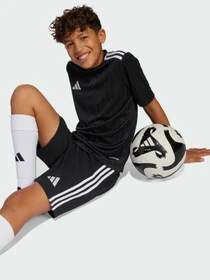 Шорты Adidas модель JN7170 Фото